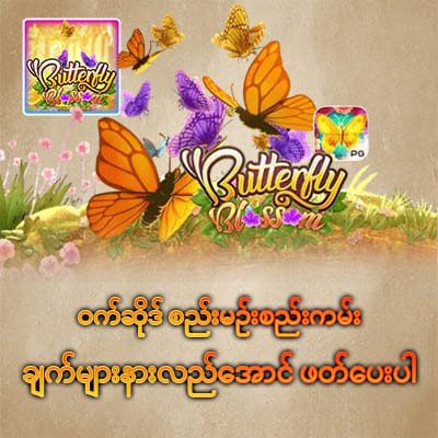 Terms and Conditions