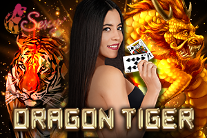 sexy dragon tiger