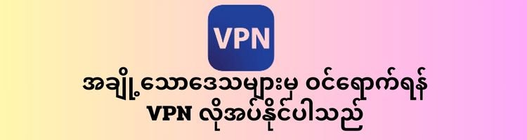 VPN 